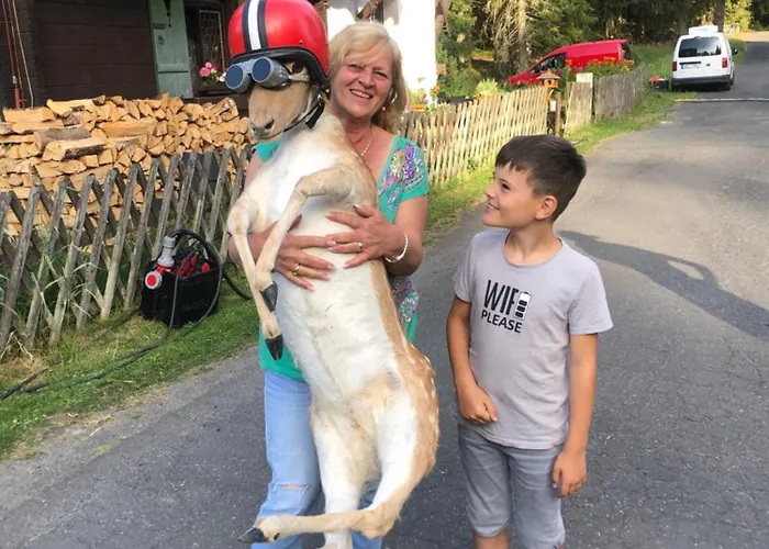 Retro Maruska Kladska 게스트하우스