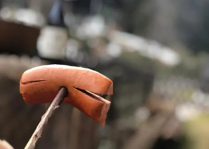 Retro Maruska Kladska